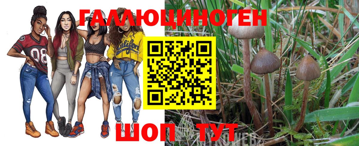 Галлюциногенные грибы прущие грибы Ликино-Дулёво