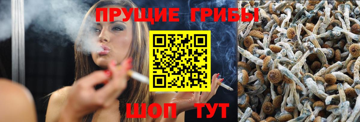 Псилоцибиновые грибы Psilocybe  Вход с VPN  Ликино-Дулёво  Псилоцибиновые грибы мицелий 